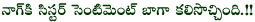 bhai film news,nag rocks,devi shocks,bhai audio in august,bhai movie on august 29,bhai film details,bhai shoot near completion,lib fame zara in bhai. zara as nagarjuna sister in bhai,